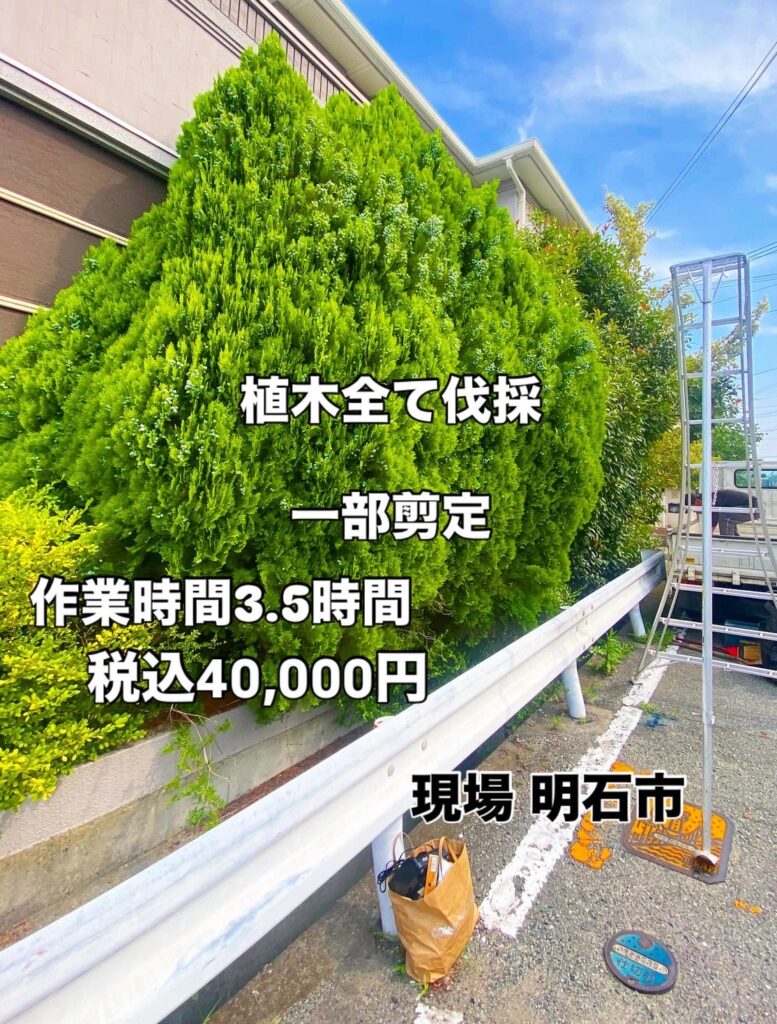 明石市　庭の植木全て伐採